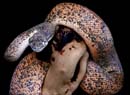 MDK_H_SN_Liasis mackloti savuensis_Savu Python_003