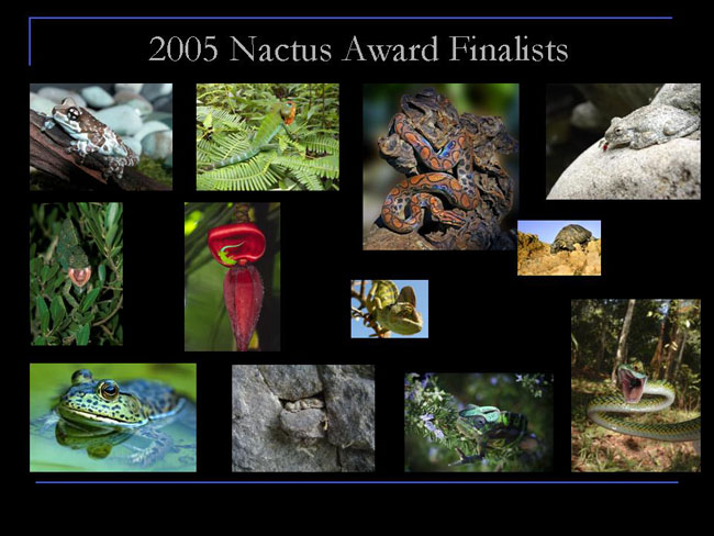 Nactus Finalists