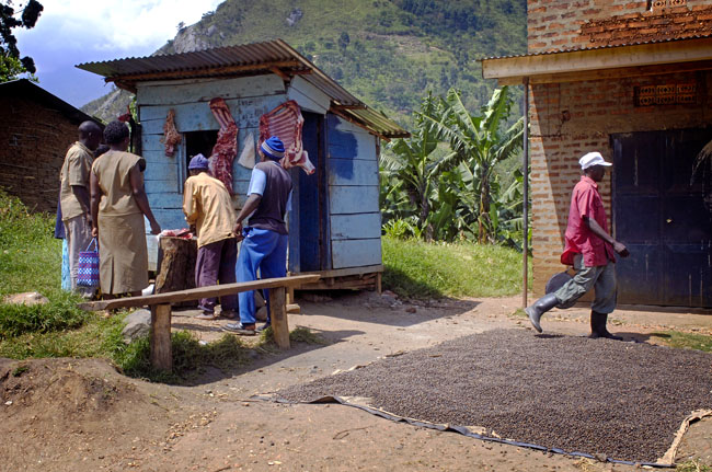 butcher and coffee shops