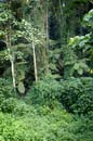 trail head bwindi