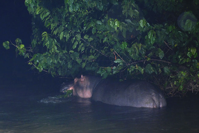 midnight snack riverside cafe