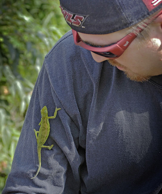 noah and green friend